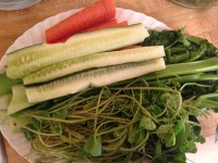 A variety of greens Karen uses in her everyday meals, including green juices and smoothies. Photo contains dandelion, cucumber, celery and carrots. PHOTO/Lisa Rino