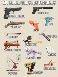 teacher guns